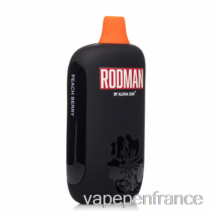 Stylo Vape Jetable Aux Baies De Pêche Rodman 9100